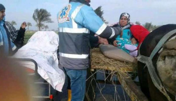 مصدر يوضح حقيقة نقل مرضى الغسيل الكلوي بعربات «الكارو» في بورسعيد
