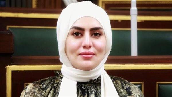 تحرك بمجلس الشيوخ بشأن استراتيجية الدولة لمواجهة غلاء 10 سلع أساسية
