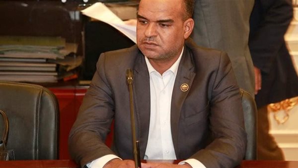 تحرك برلماني لإنشاء محطة كهربائية تخدم الرديسية وقرى الطوناب والسراج بإدفو