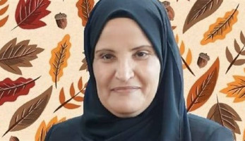 تقديرًا لظروفهم.. مقترح بإعفاء أهالى سيناء من سداد فواتير الكهرباء المتراكمة