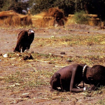 قصة الطفل والنسر ما بين المهنية والإنسانية