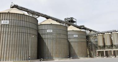 مركز بني عبيد بالدقهلية: الصوامع جاهزة لاستقبال القمح وصرف المستحقات المالية