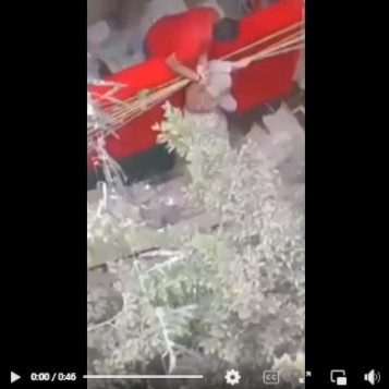 أب يلقي ابنته من الشرفة