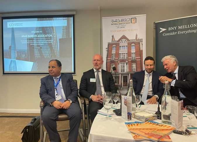 معيط: الاستثمار الزراعي والصناعي يتصدر الأولويات الرئاسية لتحقيق الأمن الغذائي لمصر