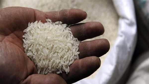 بشرى سارة.. شعبة المواد الغذائية: انخفاض أسعار الأرز والسكر والبيض