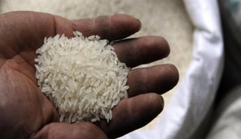 بشرى سارة.. شعبة المواد الغذائية: انخفاض أسعار الأرز والسكر والبيض