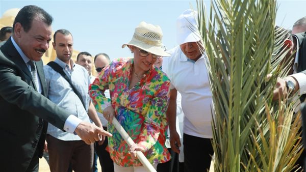 الخارجة أول مدينة صديقة للبيئة بالوادي الجديد