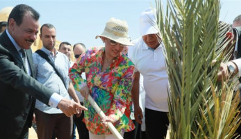 الخارجة أول مدينة صديقة للبيئة بالوادي الجديد