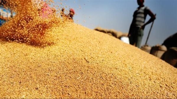 موقف «البترول» من اتفاقية الهند بشأن مقايضة صادرات القمح.. مصدر يوضح