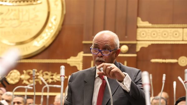 اقتراح برلماني بشأن إطلاق مبادرة القرى المنتجة لدعم وتعميق التصنيع المحلي