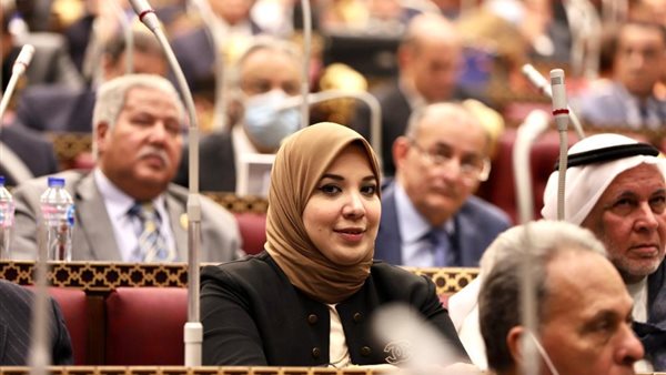 برلمانية تطالب باستراتيجية متكاملة لمكافحة تزايد العنف المجتمعي