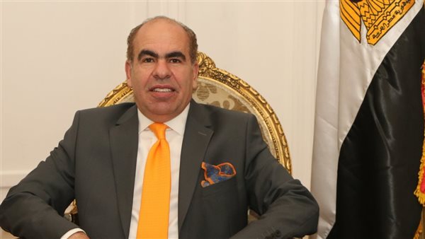 "الهضيبي" يطالب بإطلاق مبادرة وطنية لحماية اللغة العربية