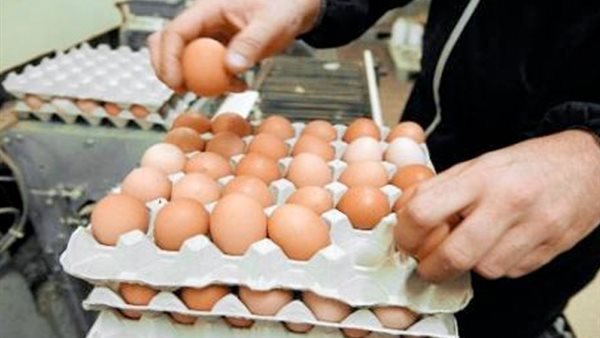 اتفاق مسبق بين التجار وأصحاب المزارع.. نكشف أسباب ارتفاع أسعار البيض بالأسواق