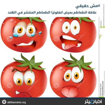 علاقة الطماطم بمرض إنفلونزا الطماطم المنتشر في الهند