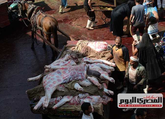 طلب إحاطة لمواجهة ظاهرة ذبح الأضاحي في الشوارع قبل العيد