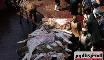 طلب إحاطة لمواجهة ظاهرة ذبح الأضاحي في الشوارع قبل العيد