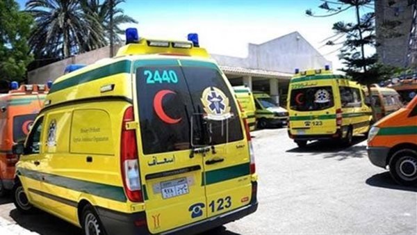 «طيّره فى الهوا».. رفسة عجل تكسر «رقبة جزار» فى بورسعيد