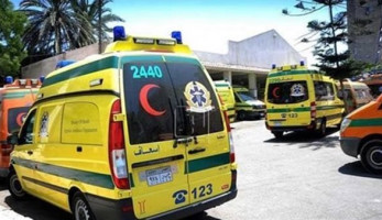 «طيّره فى الهوا».. رفسة عجل تكسر «رقبة جزار» فى بورسعيد