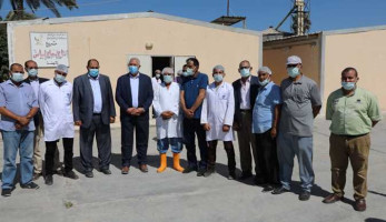 وزير الزراعة: طرح كميات كبيرة من بيض المائدة بأسعار مخفضة للمواطنين