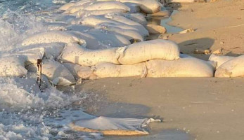مصدر بـ«البيئة» يكشف تفاصيل حل أزمة «مراسي» الساحل الشمالي