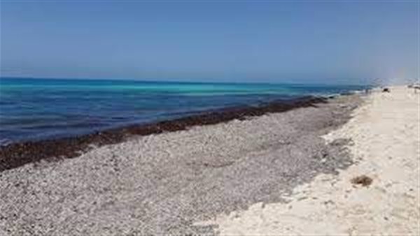 أسباب نحر الشواطئ في الساحل الشمالي