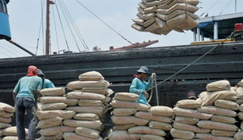 مصادر: الحكومة توافق على استمرار خفض إنتاج الأسمنت.. والطن يرتفع 600 جنيه خلال عام