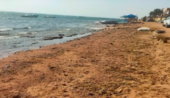 وزيرة البيئة تعلن انتهاء مكافحة التلوث الزيتى بعدد من شواطئ دهب