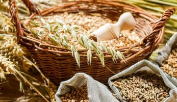 غرفة صناعة الحبوب: مخزون القمح يتجاوز 7 أشهر لدى وزارة التموين