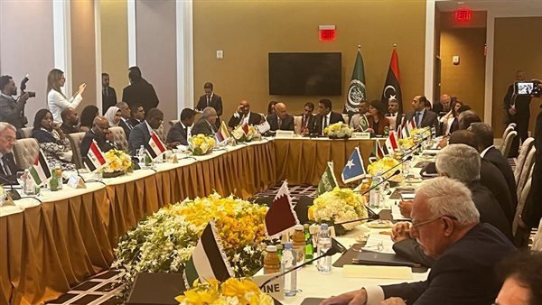مصادر: مصر لم تشارك في اجتماع وزراء الخارجية العرب التشاوري بنيويورك بسبب حكومة ليبيا