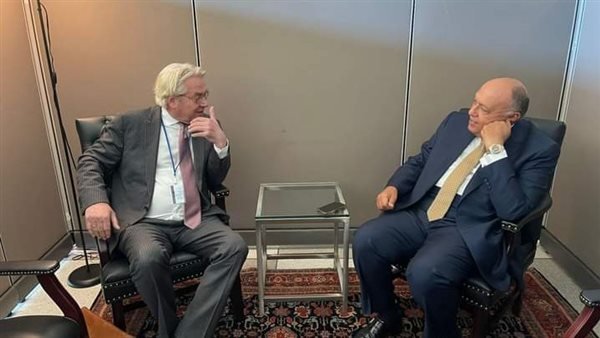 شكري يبحث مستجدات القضية الفلسطينية مع المنسق الأممي لعملية السلام بالشرق الأوسط