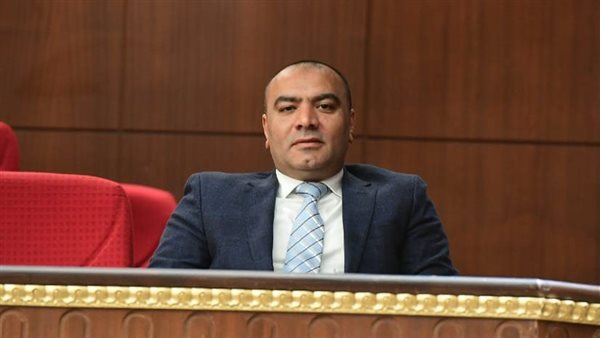 برلماني يتقدم بإقتراح برغبة لحذف تطبيق التيك توك في مصر