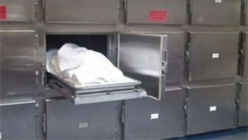 «انتقاما من خاله».. تفاصيل إنهاء 3 عاطلين حياة شاب في السلام