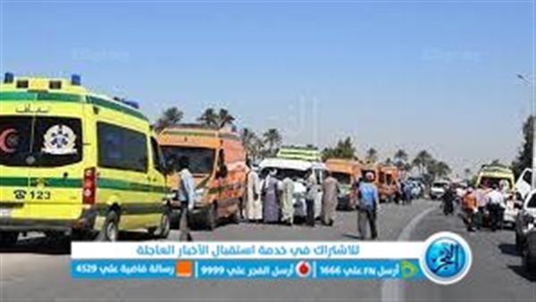 بالأسماء.. مصرع اثنين وإصابة ٢٠ آخرين في انقلاب سيارة ربع نقل بالمنيا