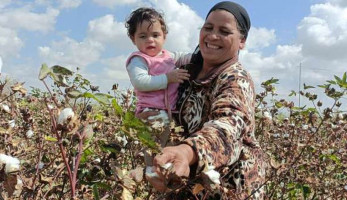 اليوم العالمي للمرأة الريفية 2022.. «أم مجدي» يد تجني القطن وأخرى تحمل حفيدتها