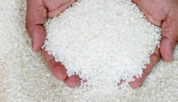 وزير التموين: استمرار قرار منع تصدير الأرز الأبيض
