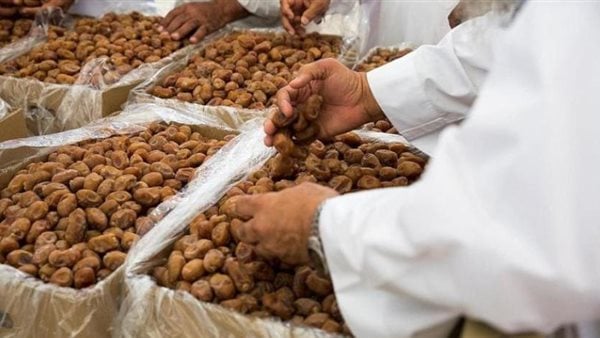 تضم 100 ألف بلحة.. مصر تدخل موسوعة جينيس بأطول سلسلة تمور