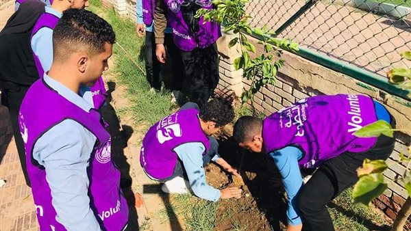 شباب كفرالشيخ تنظم حملات لزراعة الأشجار
