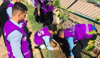 شباب كفرالشيخ تنظم حملات لزراعة الأشجار
