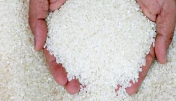 طلب إحاطة بملاحقة التجار الذين يتعمدون إخفاء الأرز وتشديد الرقابة على الأسواق