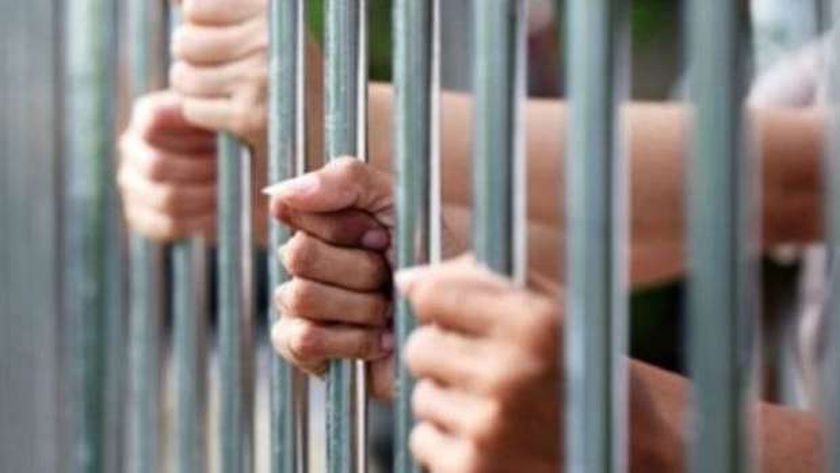 حبس عاطل لاتهامه بقتل بائع خضار بعيار ناري بالخطأ في قليوب