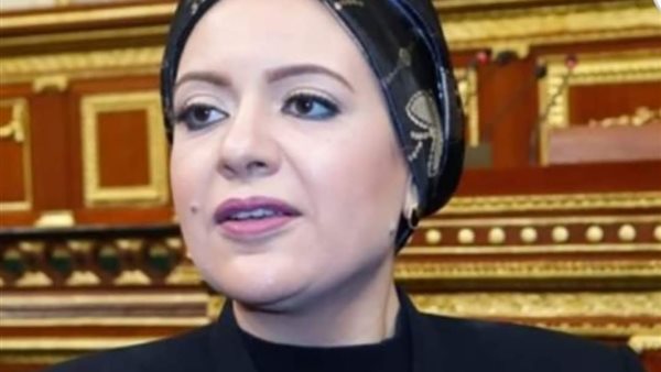 طلب إحاطة لـ 6 وزراء "بشأن ازدواج طريق الغنايمية أسوان- إدفو وإنارته