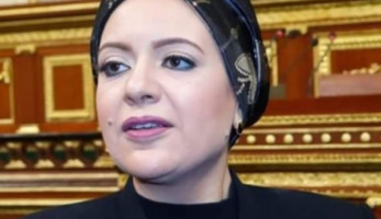 طلب إحاطة لـ 6 وزراء "بشأن ازدواج طريق الغنايمية أسوان- إدفو وإنارته