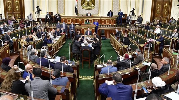 إحالة عاجلة | أول تحرك برلماني أمام تريندات التحدي على مواقع التواصل