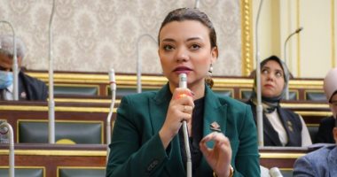 مى كرم جبر توجه سؤالا للحكومة عن جهود استبدال أعمدة الإنارة الكهربائية بالشمسية