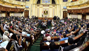 النائبة ريهام عبد النبي تطالب الحكومة بوضع مخطط للحد من الزيادة السكنية