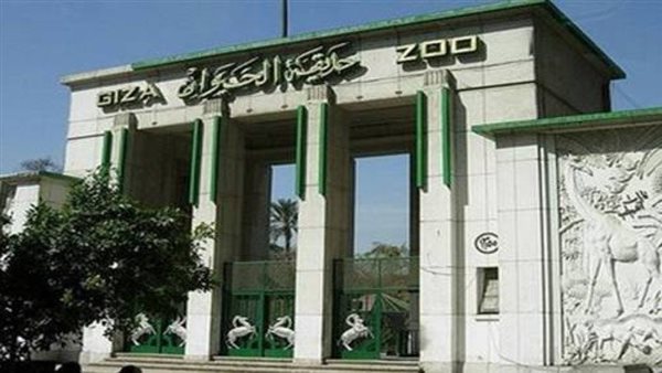 عاجل.. الحكومة توافق على تطوير حديقة الحيوان بالجيزة