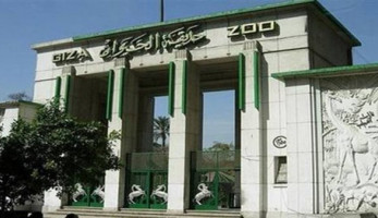 عاجل.. الحكومة توافق على تطوير حديقة الحيوان بالجيزة