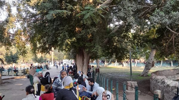 "الزراعة" تنفي غلق حديقة حيوان الجيزة