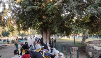 "الزراعة" تنفي غلق حديقة حيوان الجيزة