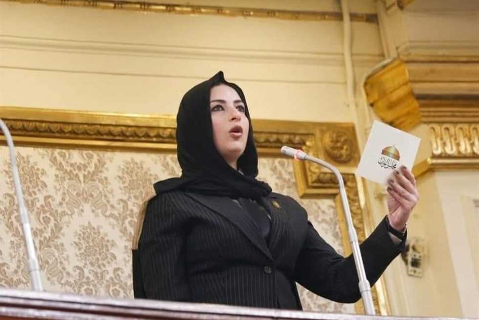 اقتراح برغبة لحل مشكلة القمامة فى الإسكندرية: لإلزام المحال العامة بوضع صناديق قمامة أمامها